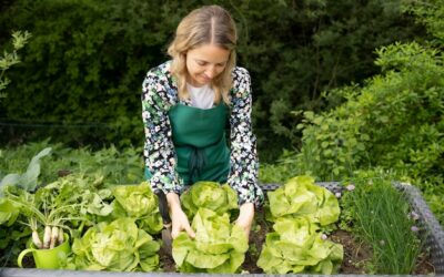 Jak zaplanować kalendarz zakładania ogrodu warzywnego?