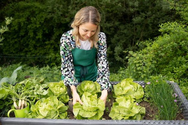 Jak zaplanować kalendarz zakładania ogrodu warzywnego?