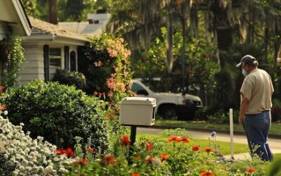 Jaki ogród przed domem wybrać, aby cieszyć oko i duszę?