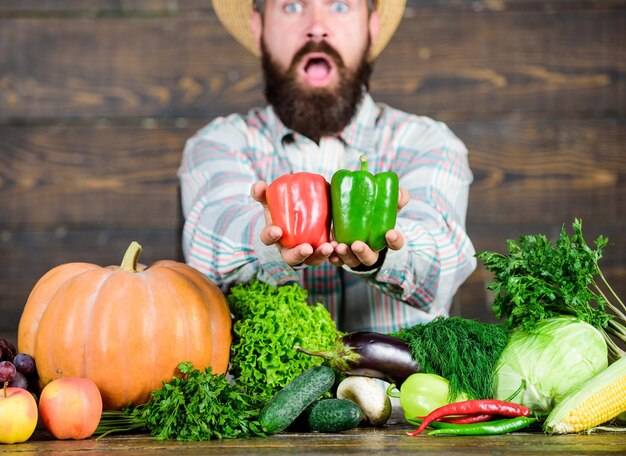 Warzywniak czy warzywnik – jak poprawnie nazwać przydomowy ogródek?