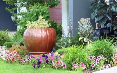 Jak zaprojektować ogródek przed domem, by cieszył oko i zachęcał do odpoczynku?