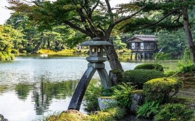 Jak wygląda ogród japoński – harmonia natury i minimalizmu?